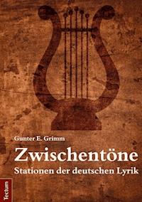 Zwischentöne - Gunter E. Grimm - E-Book