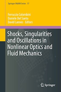 Shocks, Singularities and Oscillations in Nonlinear Optics and Fluid Mechanics -  - E-Book