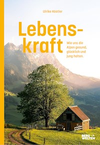 Lebenskraft - Ulrike Köstler - E-Book