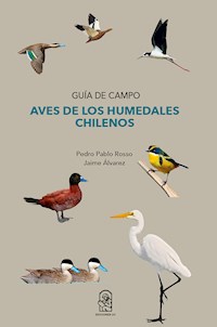 Aves de los humedales chilenos - Pedro Pablo Rosso - E-Book