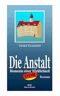 Die Anstalt - Detlef Kristeleit - E-Book