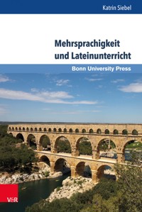 Mehrsprachigkeit und Lateinunterricht - Katrin Siebel - E-Book