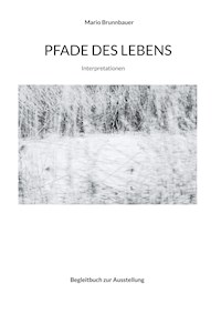 Pfade des Lebens - Mario Brunnbauer - E-Book