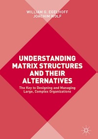 Understanding Matrix Structures and their Alternatives - William G. Egelhoff - E-Book