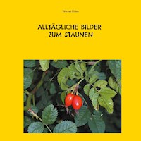 Alltägliche Bilder zum Staunen - Werner Ehlen - E-Book