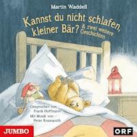 Kannst du nicht schlafen, kleiner Bär? - Martin Waddell - Hörbuch