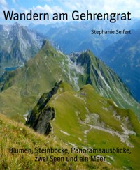 Wandern am Gehrengrat - Stephanie Seifert - E-Book