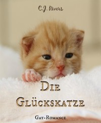 Die Glückskatze - C.J. Rivers - E-Book