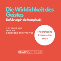 Die Wirklichkeit des Geistes - Godehard Brüntrup - Hörbuch