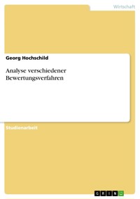 Analyse verschiedener Bewertungsverfahren - Georg Hochschild - E-Book