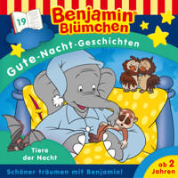 Benjamin Blümchen, Gute-Nacht-Geschichten, Folge 19: Tiere der Nacht - Vincent Andreas - Hörbuch