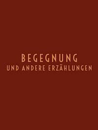 Begegnung - Emmanuel Bove - E-Book