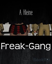 Freak-Gang - A. Kleine - E-Book