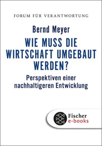 Wie muss die Wirtschaft umgebaut werden? - Bernd Meyer - E-Book