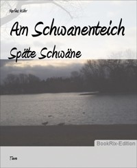 Am Schwanenteich - Marlies Kühr - E-Book