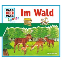 11: Im Wald - Friederike Wilhelmi - Hörbuch