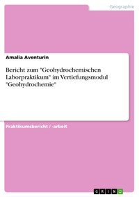 Bericht zum "Geohydrochemischen Laborpraktikum" im Vertiefungsmodul "Geohydrochemie" - Amalia Aventurin - E-Book