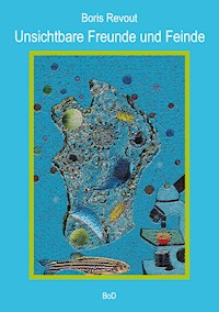 Unsichtbare Freunde und Feinde - Boris Revout - E-Book