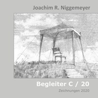 Begleiter C/20 - Joachim R. Niggemeyer - E-Book
