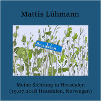 Meine Sichtung in Hessdalen (19.07.2018 Hessdalen, Norwegen) - Mattis Lühmann - Hörbuch