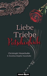 Liebe - Triebe - Peitschenhiebe - Christoph Mayerhofer - E-Book