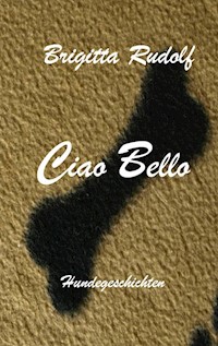 Ciao Bello - Brigitta Rudolf - E-Book