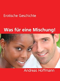 Was für eine Mischung! - Andreas Hoffmann - E-Book