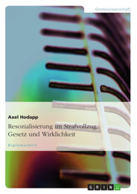 Resozialisierung im Strafvollzug. Gesetz und Wirklichkeit - Axel Hodapp - E-Book