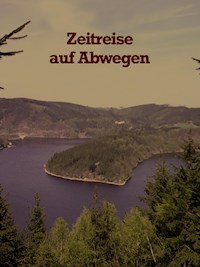Zeitreise auf Abwegen - Matthias Arndt - E-Book