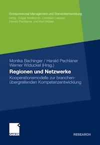 Regionen und Netzwerke -  - E-Book