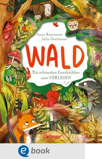 Wald. Die schönsten Geschichten zum Vorlesen - Anne Rummenie - E-Book