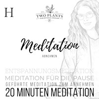 Meditation Abnehmen - Meditation H - 20 Minuten Meditation - Christiane M. Heyn - Hörbuch