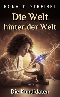 Die Welt hinter der Welt - Ronald Streibel - kostenlos E-Book