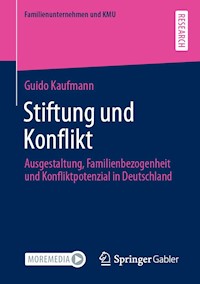 Stiftung und Konflikt - Guido Kaufmann - E-Book