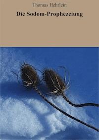 Die Sodom-Prophezeiung - Thomas Hehrlein - E-Book
