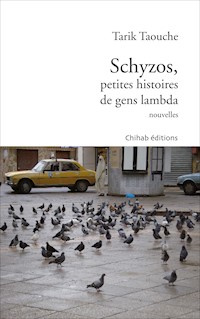 Schyzos, petites histoires de gens lambda - Tarik Taouche - E-Book