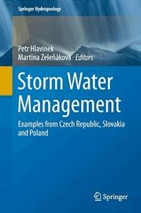 Storm Water Management -  - E-Book