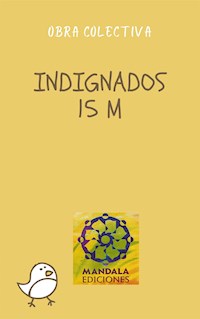 Indignados 15M Spanish revolution - Fernando Cabal - E-Book
