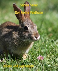 Der kleine Feldhase - Sabine Sener - E-Book