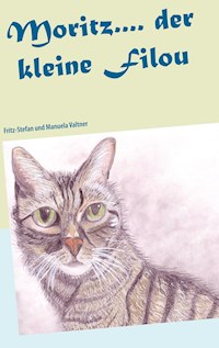 Moritz.... der kleine Filou - Fritz-Stefan Valtner - E-Book