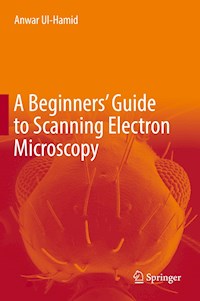 A Beginners' Guide to Scanning Electron Microscopy - Anwar Ul-Hamid - E-Book