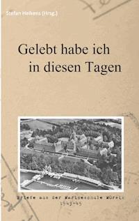 Gelebt habe ich in diesen Tagen - Stefan Heikens - E-Book