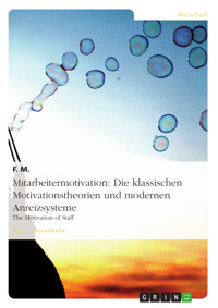 Mitarbeitermotivation: Die klassischen Motivationstheorien und modernen Anreizsysteme - F. M. - E-Book