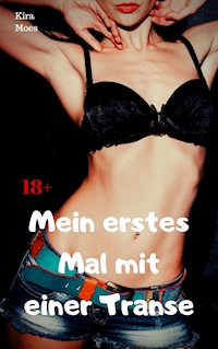 Mein erstes Mal mit einer Transe - Kira Moes - E-Book