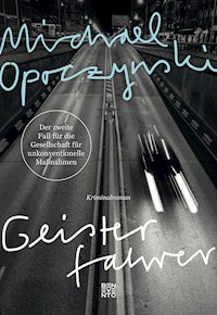 Geisterfahrer - Michael Opoczynski - E-Book