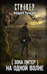 Зона Питер. На одной волне - Андрей Нуждин - E-Book