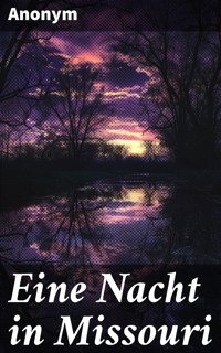 Eine Nacht in Missouri - Anonym - E-Book
