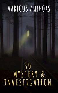 30 Mystery & Investigation masterpieces - Ryūnosuke Akutagawa - E-Book