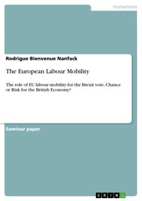 The European Labour Mobility - Rodrigue Bienvenue Nanfack - E-Book