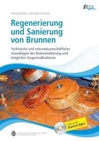 Regenerierung und Sanierung von Brunnen - Georg Houben - E-Book